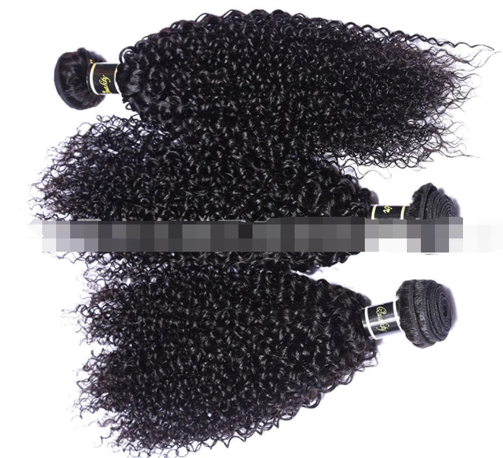 Human Hair , Malaysian Hair Extensions