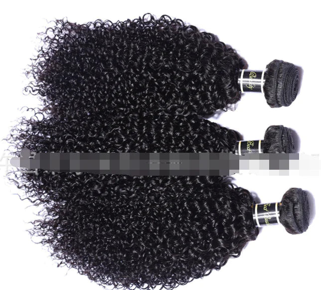 Human Hair , Malaysian Hair Extensions