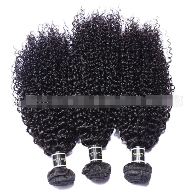 Human Hair , Malaysian Hair Extensions